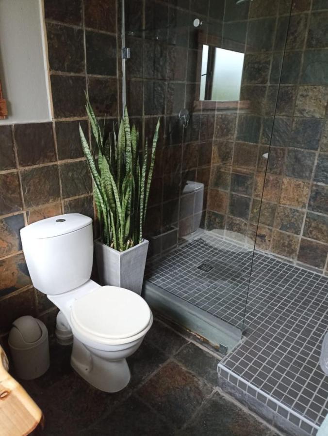 Fijnbos Guesthouse クニスナ エクステリア 写真